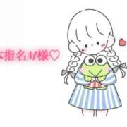 ヒメ日記 2025/08/25 10:20 投稿 にこる Beppin house