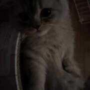 ヒメ日記 2025/09/09 16:01 投稿 にこる Beppin house