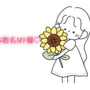 ヒメ日記 2025/09/19 18:01 投稿 にこる Beppin house