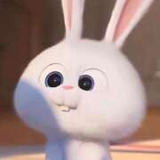 ヒメ日記 2025/10/21 01:50 投稿 にこる Beppin house