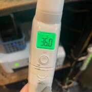 ヒメ日記 2025/10/30 06:10 投稿 にこる Beppin house