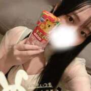 ヒメ日記 2025/11/04 00:01 投稿 にこる Beppin house