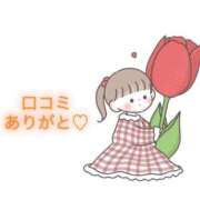 ヒメ日記 2025/11/10 17:20 投稿 にこる Beppin house