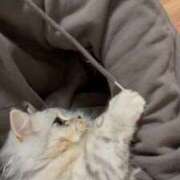 ヒメ日記 2025/11/19 01:00 投稿 にこる Beppin house