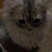 ヒメ日記 2025/11/20 01:20 投稿 にこる Beppin house