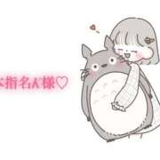 ヒメ日記 2026/03/16 12:21 投稿 にこる Beppin house