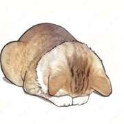 はのん 🤒 Beppin house