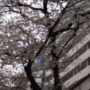 ヒメ日記 2025/03/28 16:15 投稿 矢板えつこ プランタン大塚