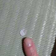 ヒメ日記 2025/04/10 13:45 投稿 矢板えつこ プランタン大塚