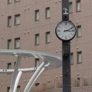 ヒメ日記 2025/04/11 16:02 投稿 矢板えつこ プランタン大塚