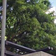 ヒメ日記 2025/06/05 22:46 投稿 矢板えつこ プランタン大塚