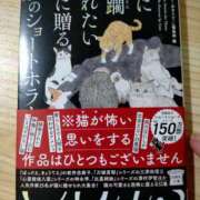 ヒメ日記 2025/08/08 23:11 投稿 矢板えつこ プランタン大塚