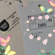 ヒメ日記 2025/09/13 21:09 投稿 矢板えつこ プランタン大塚