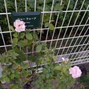 ヒメ日記 2025/10/11 23:33 投稿 矢板えつこ プランタン大塚