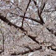 ヒメ日記 2025/04/12 22:17 投稿 五十嵐(いがらし) 大牟田デリヘル倶楽部