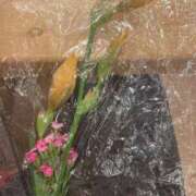 ヒメ日記 2025/05/11 21:18 投稿 良乃(ふみの) PLUS十三店