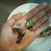 ヒメ日記 2025/05/18 19:48 投稿 良乃(ふみの) PLUS十三店