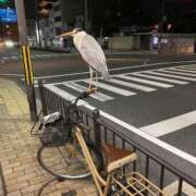 ヒメ日記 2025/05/27 13:18 投稿 良乃(ふみの) PLUS十三店