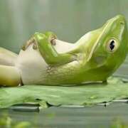 ヒメ日記 2025/06/23 13:58 投稿 良乃(ふみの) PLUS十三店