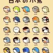 ヒメ日記 2025/07/05 05:48 投稿 良乃(ふみの) PLUS十三店