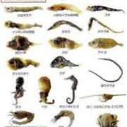 ヒメ日記 2025/07/12 05:08 投稿 良乃(ふみの) PLUS十三店