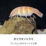 ヒメ日記 2025/07/14 14:48 投稿 良乃(ふみの) PLUS十三店