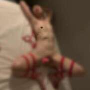 ヒメ日記 2025/07/29 04:52 投稿 良乃(ふみの) PLUS十三店