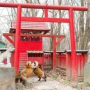 ヒメ日記 2025/07/29 12:48 投稿 良乃(ふみの) PLUS十三店