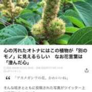 ヒメ日記 2025/08/09 05:20 投稿 良乃(ふみの) PLUS十三店