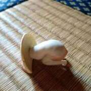 ヒメ日記 2025/11/07 08:43 投稿 良乃(ふみの) PLUS十三店