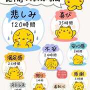 ヒメ日記 2025/11/12 13:29 投稿 良乃(ふみの) PLUS十三店