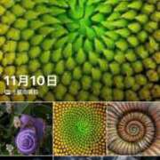 ヒメ日記 2025/11/21 06:08 投稿 良乃(ふみの) PLUS十三店