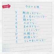 ヒメ日記 2025/11/22 08:28 投稿 良乃(ふみの) PLUS十三店