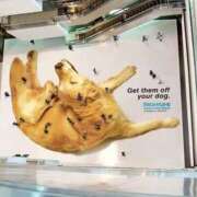 ヒメ日記 2025/12/07 23:48 投稿 良乃(ふみの) PLUS十三店