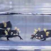 ヒメ日記 2025/12/12 14:08 投稿 良乃(ふみの) PLUS十三店