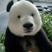 ヒメ日記 2025/12/12 14:28 投稿 良乃(ふみの) PLUS十三店