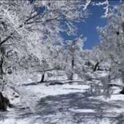 良乃(ふみの) 忘れてたワケじゃないのよ🤭 PLUS十三店