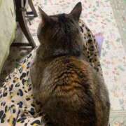 ヒメ日記 2025/12/31 17:08 投稿 良乃(ふみの) PLUS十三店