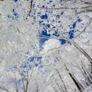 ヒメ日記 2026/01/02 06:58 投稿 良乃(ふみの) PLUS十三店