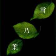 ヒメ日記 2026/01/19 07:58 投稿 良乃(ふみの) PLUS十三店