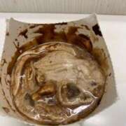 ヒメ日記 2026/01/23 13:24 投稿 良乃(ふみの) PLUS十三店