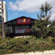 ヒメ日記 2026/01/29 13:48 投稿 良乃(ふみの) PLUS十三店