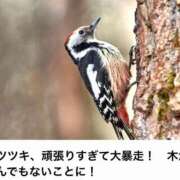 ヒメ日記 2026/02/02 14:38 投稿 良乃(ふみの) PLUS十三店