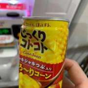 ヒメ日記 2026/02/05 11:50 投稿 良乃(ふみの) PLUS十三店