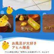 ヒメ日記 2026/02/05 14:03 投稿 良乃(ふみの) PLUS十三店