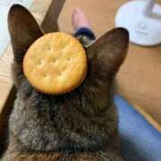 ヒメ日記 2026/02/19 13:34 投稿 良乃(ふみの) PLUS十三店