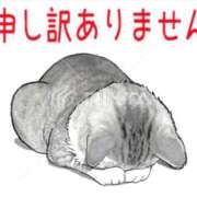 ヒメ日記 2026/02/25 17:18 投稿 良乃(ふみの) PLUS十三店