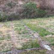 ヒメ日記 2026/02/27 08:38 投稿 良乃(ふみの) PLUS十三店