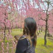 ヒメ日記 2026/02/28 06:08 投稿 良乃(ふみの) PLUS十三店