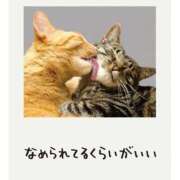 良乃(ふみの) これぐらいでちょうどよい PLUS十三店